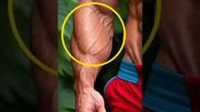 Top 5 Dumbbell Forearm Workout 💪✅