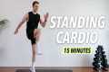 15 Min All Standing Cardio HIIT