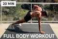 20 Minute Full Body Workout (No