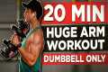 20 MINUTE ARM WORKOUT (DUMBBELLS ONLY)